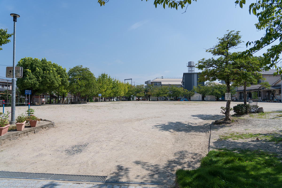 桜ヶ丘広場公園