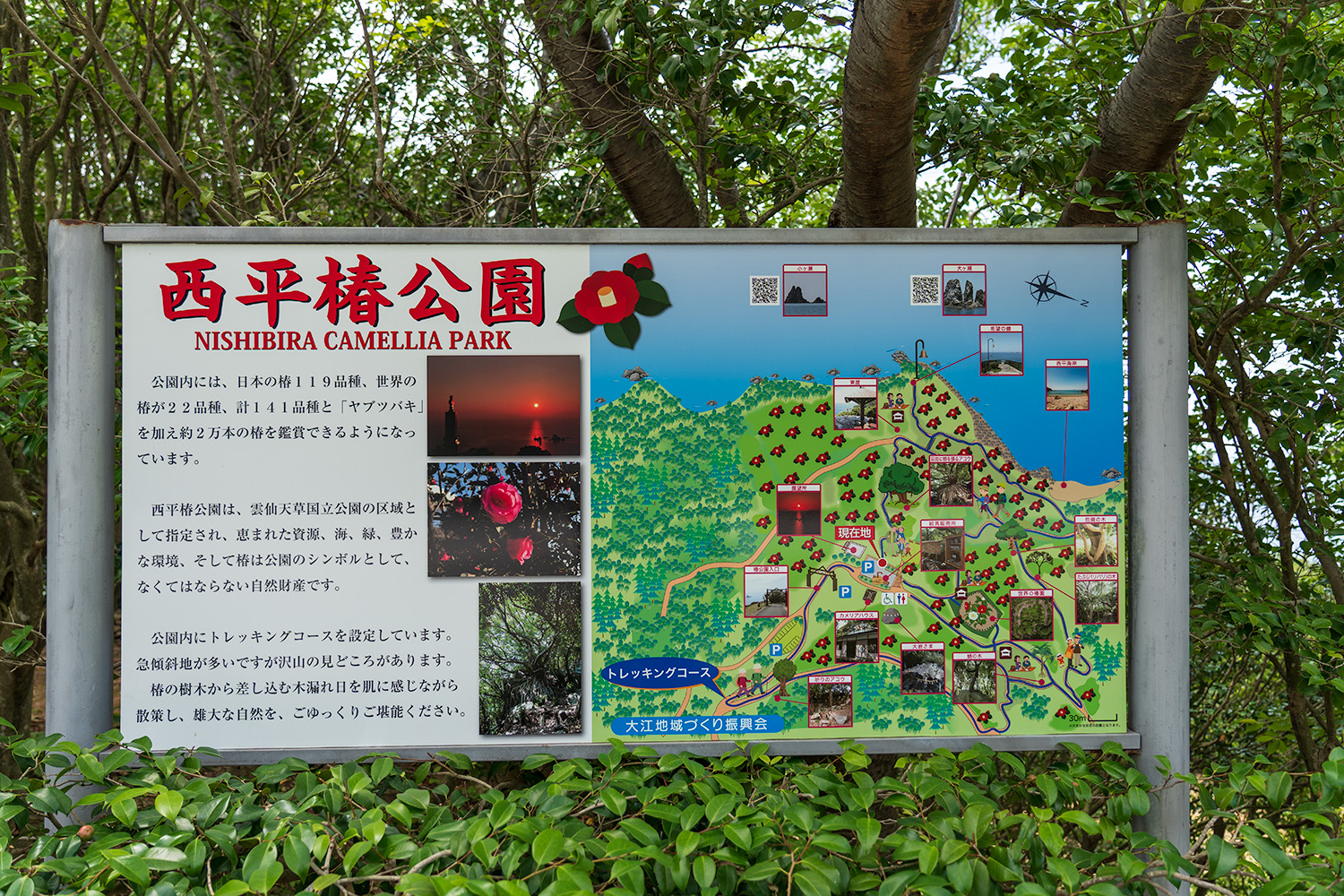 西平椿公園の全体マップ