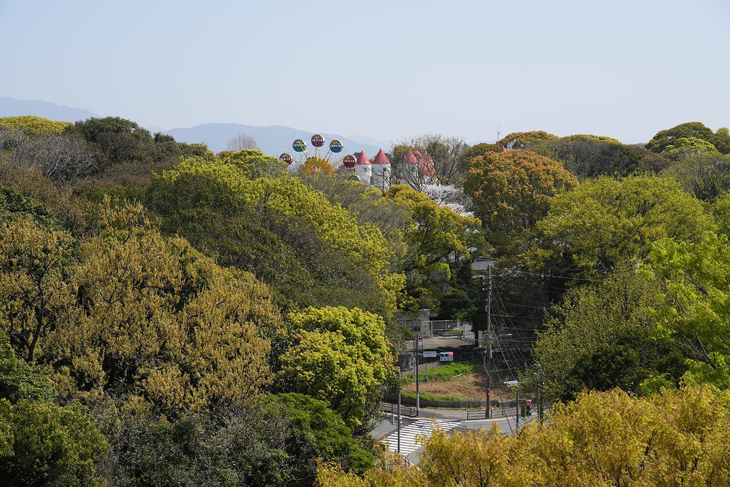 南公園西展望台から見える福岡市動植物園