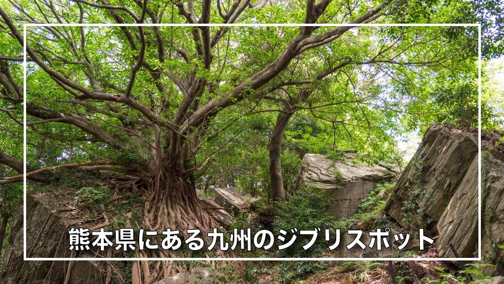 熊本県ジブリの観光スポット