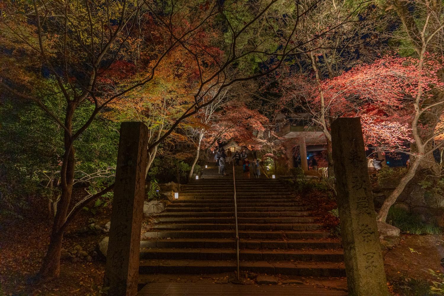 竈門神社の紅葉ライトアップ