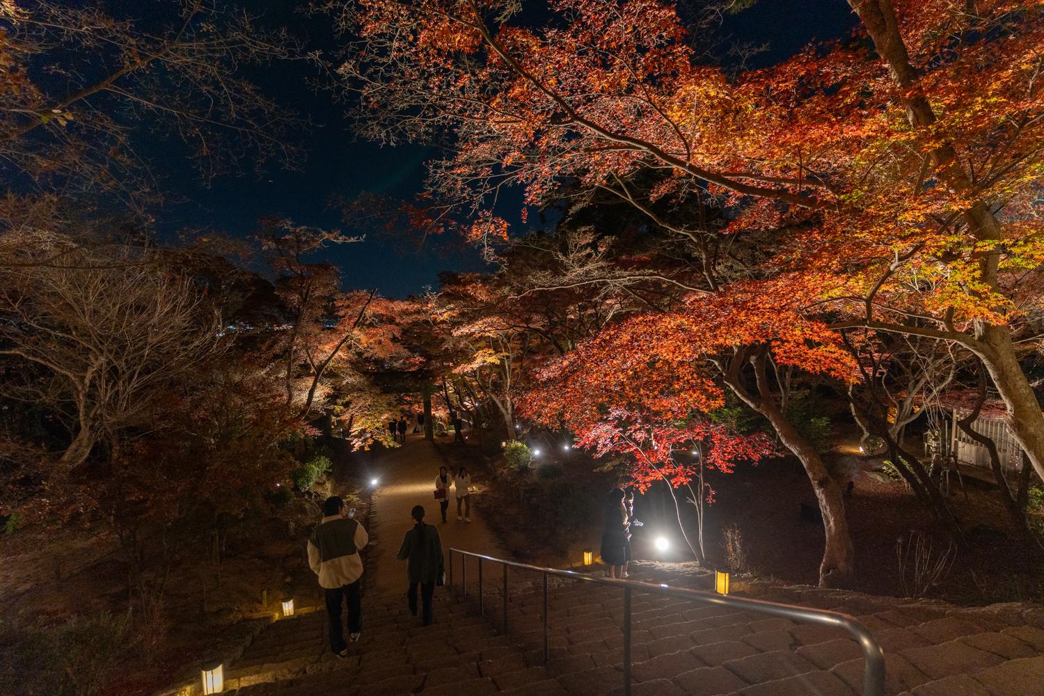 竈門神社の紅葉ライトアップ2