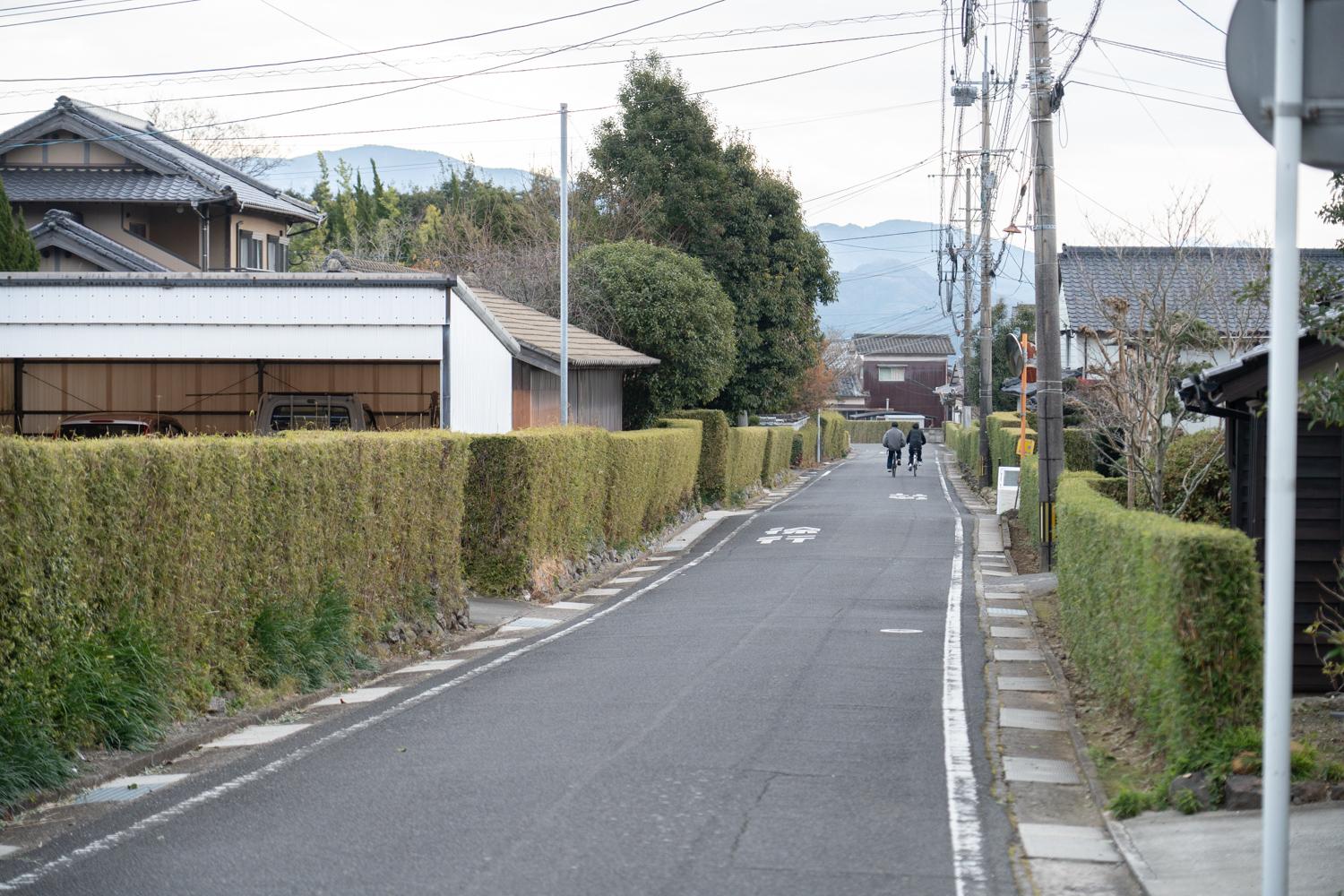 里小路の矢竹生垣通り