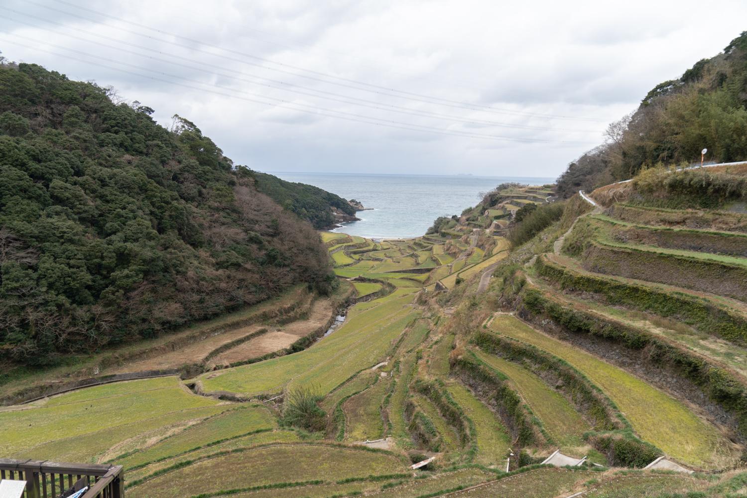 浜野浦の棚田